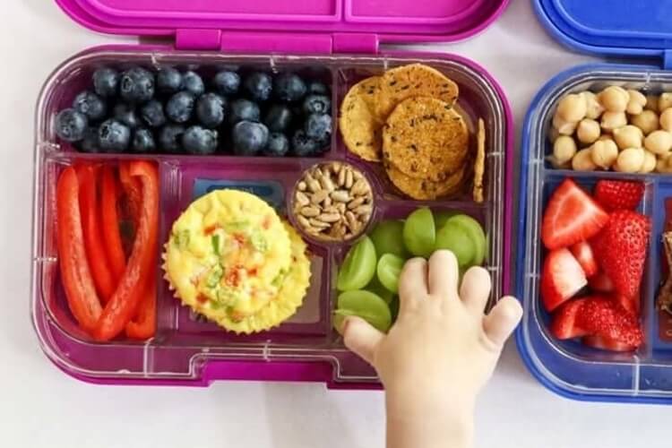 Best Lunch Boxes & Bags for Kids
